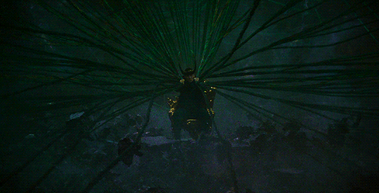 Loki Photo